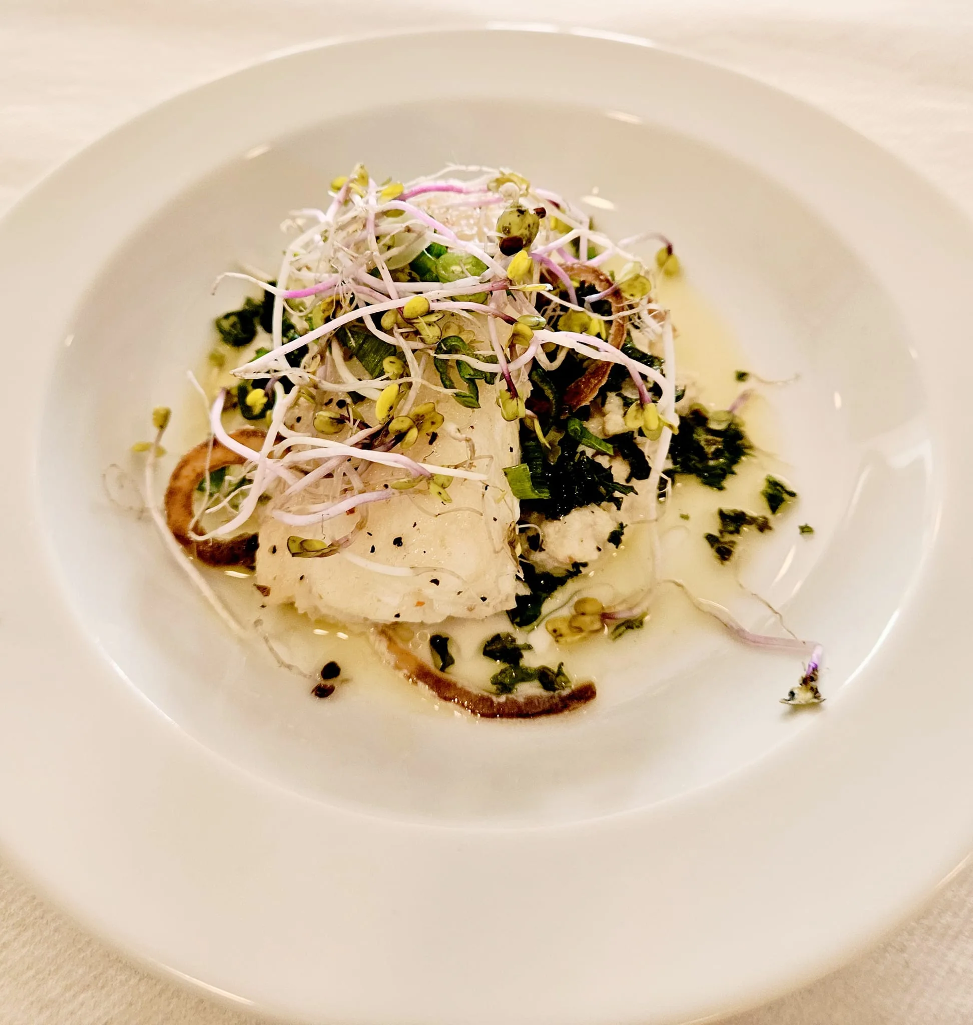 Gourmet dish with fish and sprouts on plate